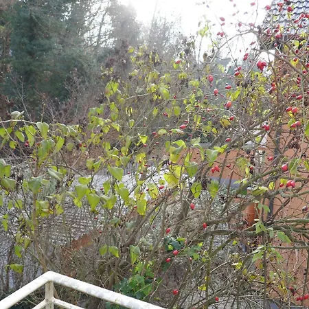 4-zi-wohnung Mit Grossem Balkon Und Blick Ins Grune Appartamento *