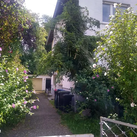4-zi-wohnung Mit Grossem Balkon Und Blick Ins Grune Appartamento *