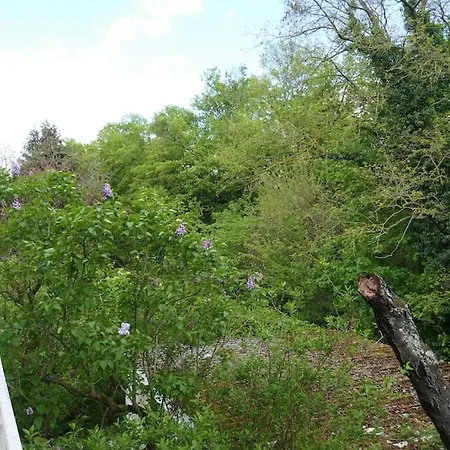 4-zi-wohnung Mit Grossem Balkon Und Blick Ins Grune Appartamento *