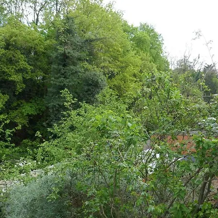 Appartamento 4-zi-wohnung Mit Grossem Balkon Und Blick Ins Grune *